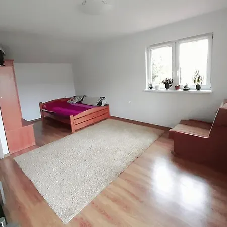 Villa U Gorala Tadzia Krynica-Zdrój Exterior foto